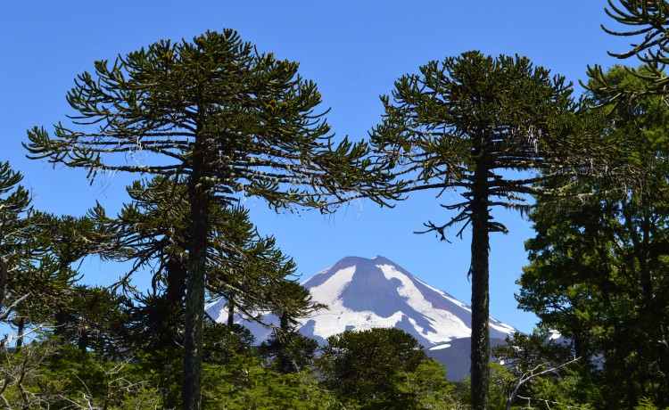 Patagonien - Vulkan Villarica