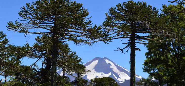 Patagonien & Chile, Dezember 2015